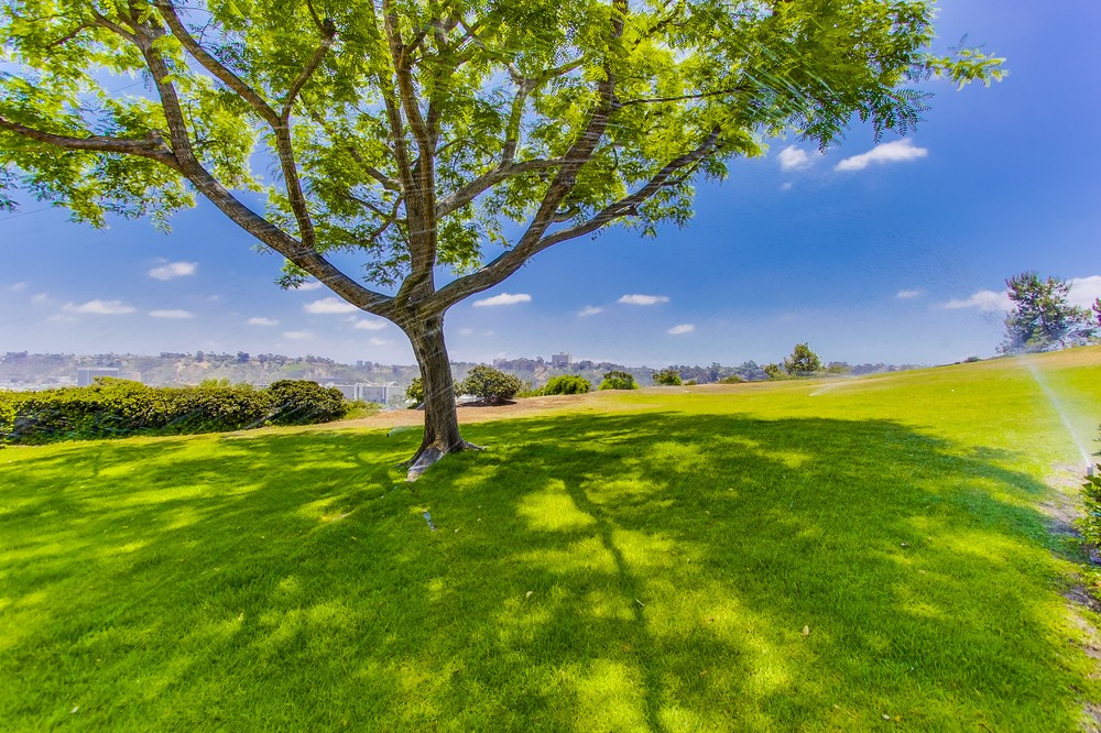 Virtual tour photo 29 of 45 for 6655 Canyon Rim Row #211