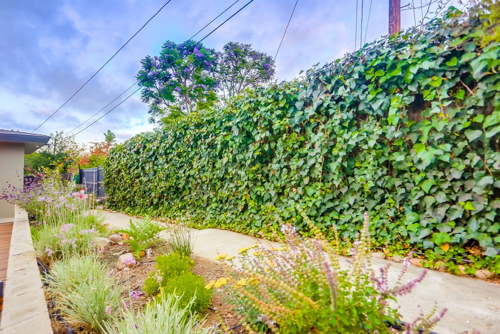 Virtual tour photo 61 of 60 for 6681 Amherst St
