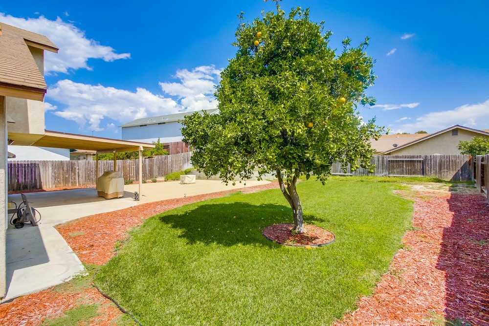 Virtual tour photo 57 of 64 for 6763 Doti Point Dr