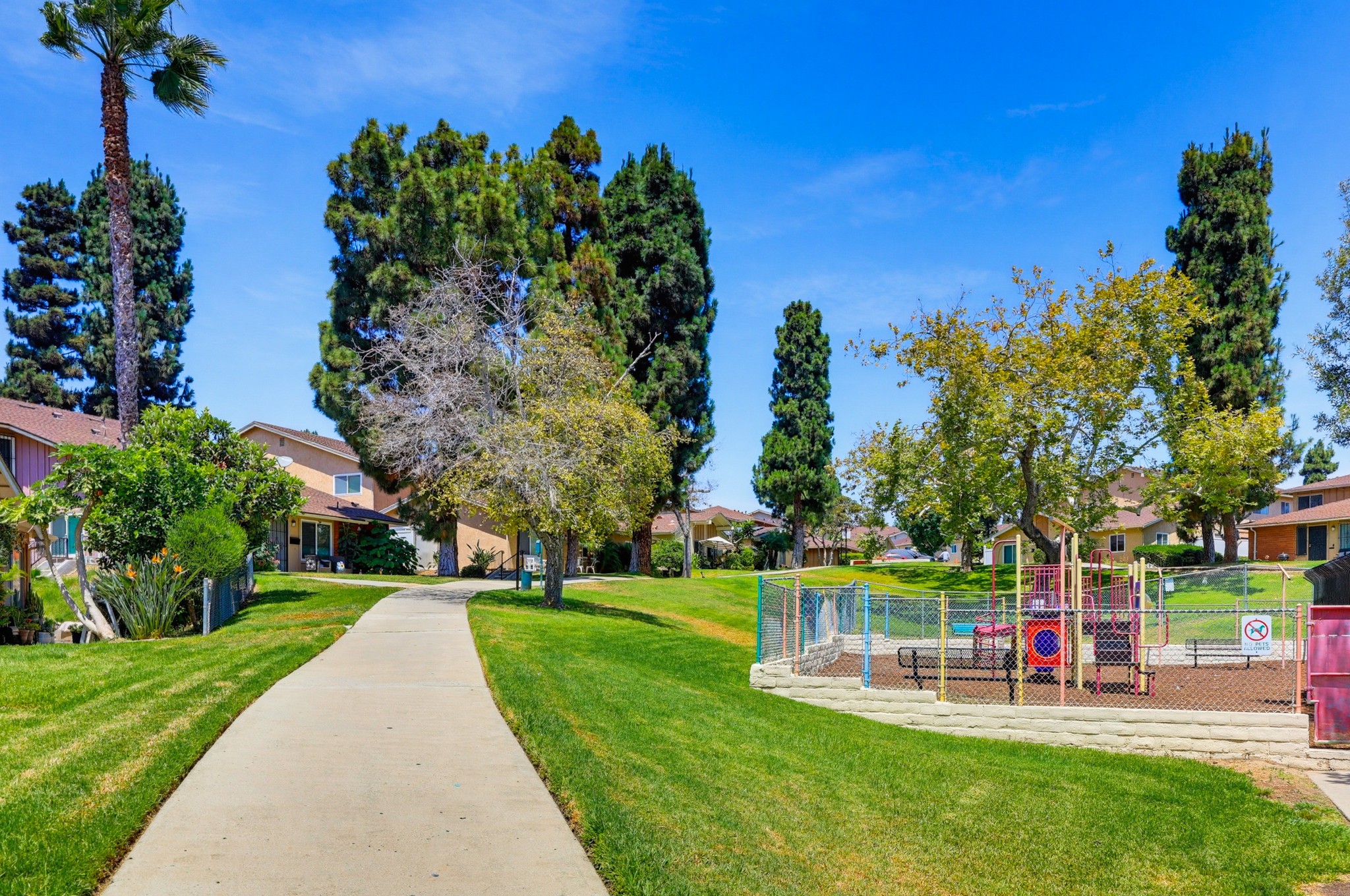 Virtual tour photo 41 of 48 for 6822 Camphor Ln