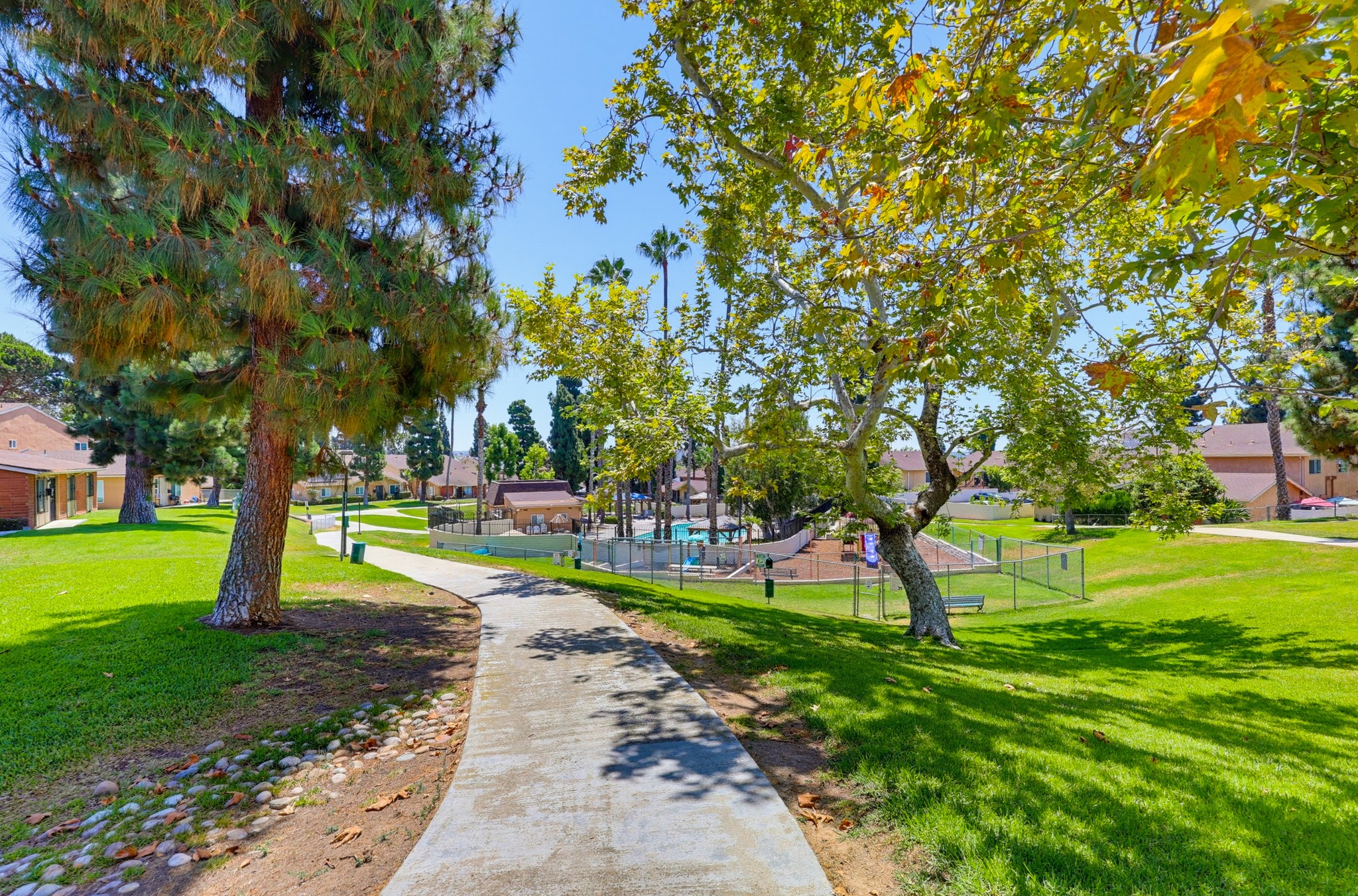 Virtual tour photo 47 of 48 for 6822 Camphor Ln