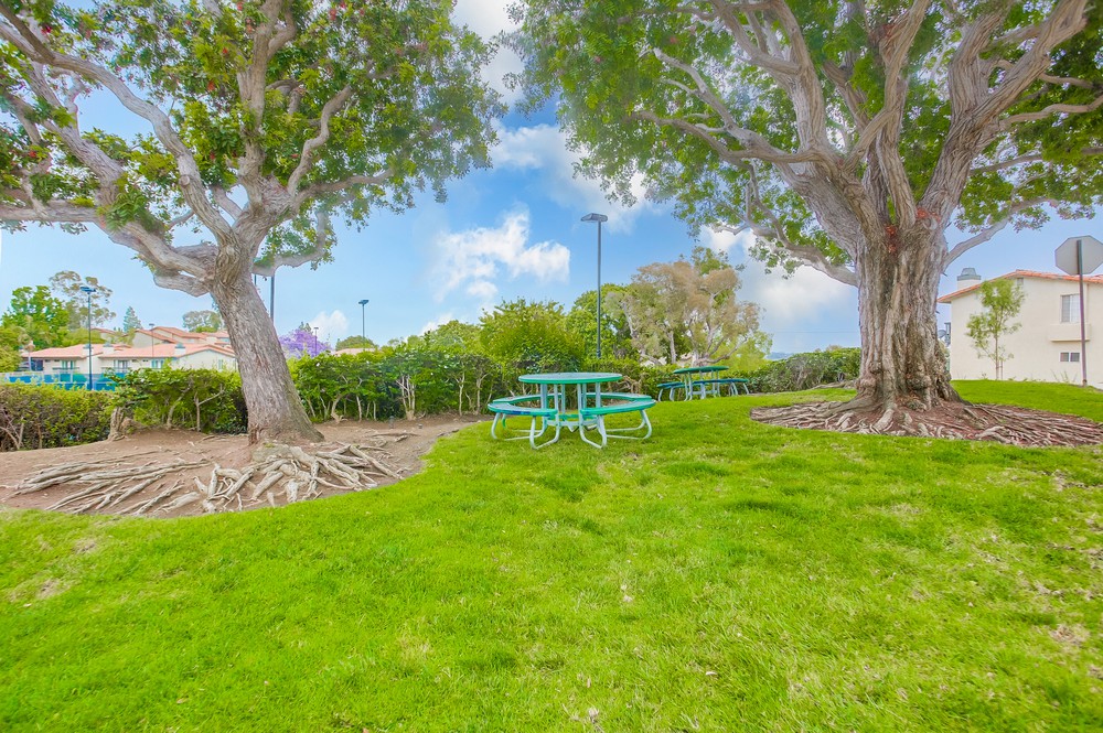 Virtual tour photo 54 of 53 for 6904 Camino Pacheco
