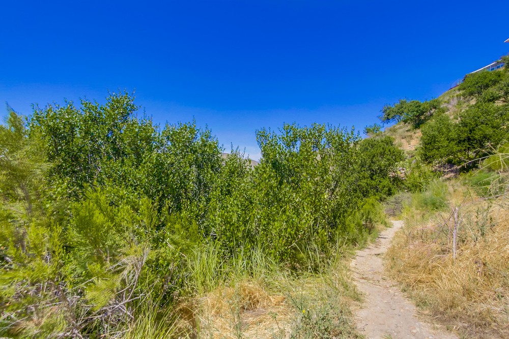 Virtual tour photo 65 of 68 for 6924 Town View Ln