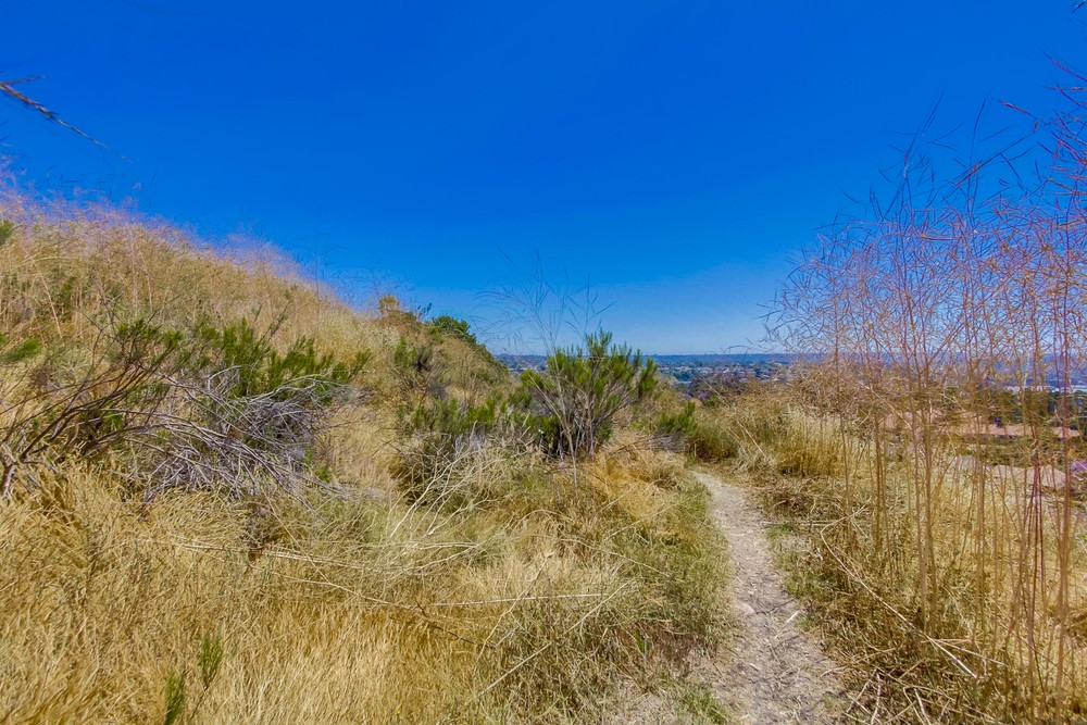 Virtual tour photo 67 of 68 for 6924 Town View Ln