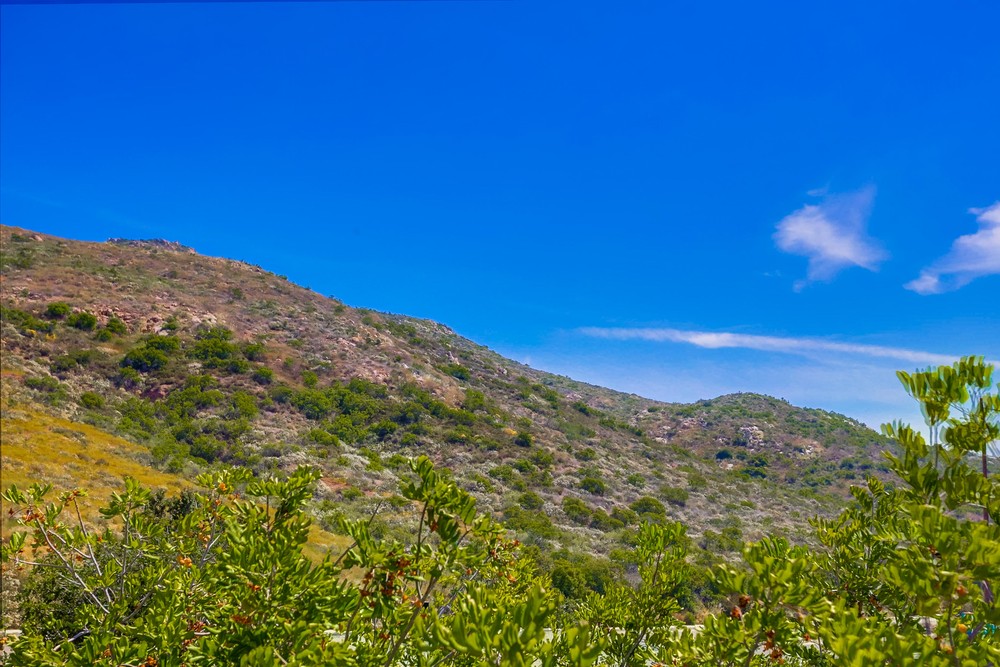 Virtual tour photo 29 of 35 for 6986 Caminito Perico