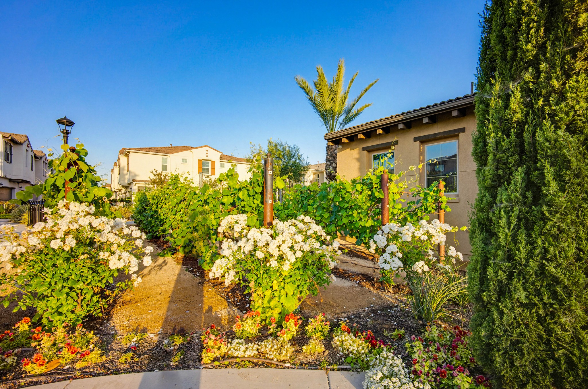 Virtual tour photo 54 of 59 for 7036 Turin Pl