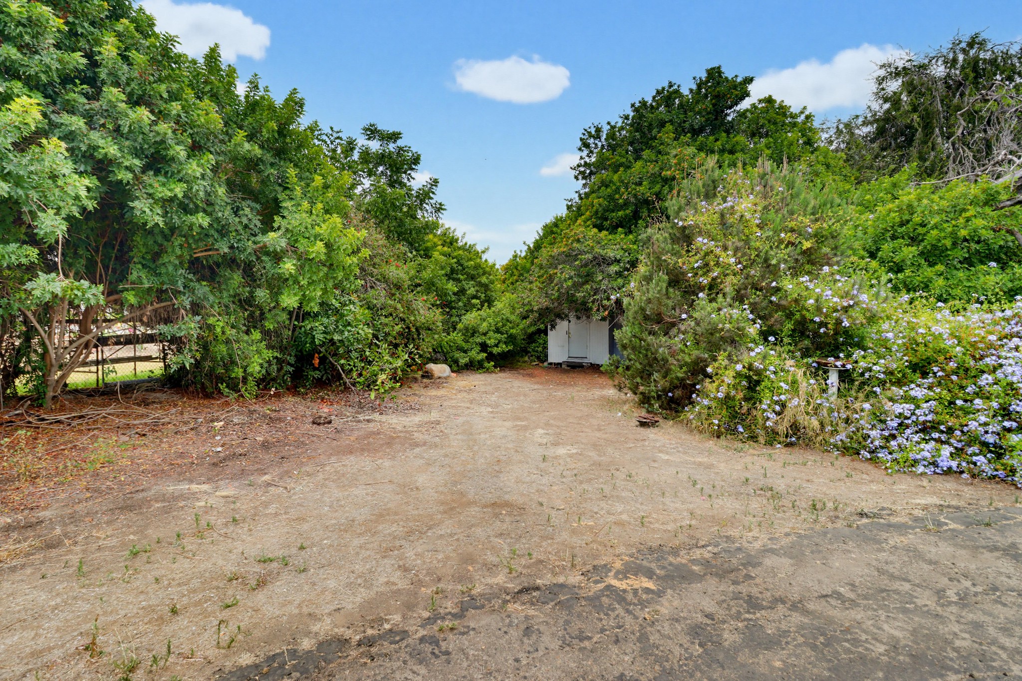Virtual tour photo 5 of 56 for 7107 Suerich Ln