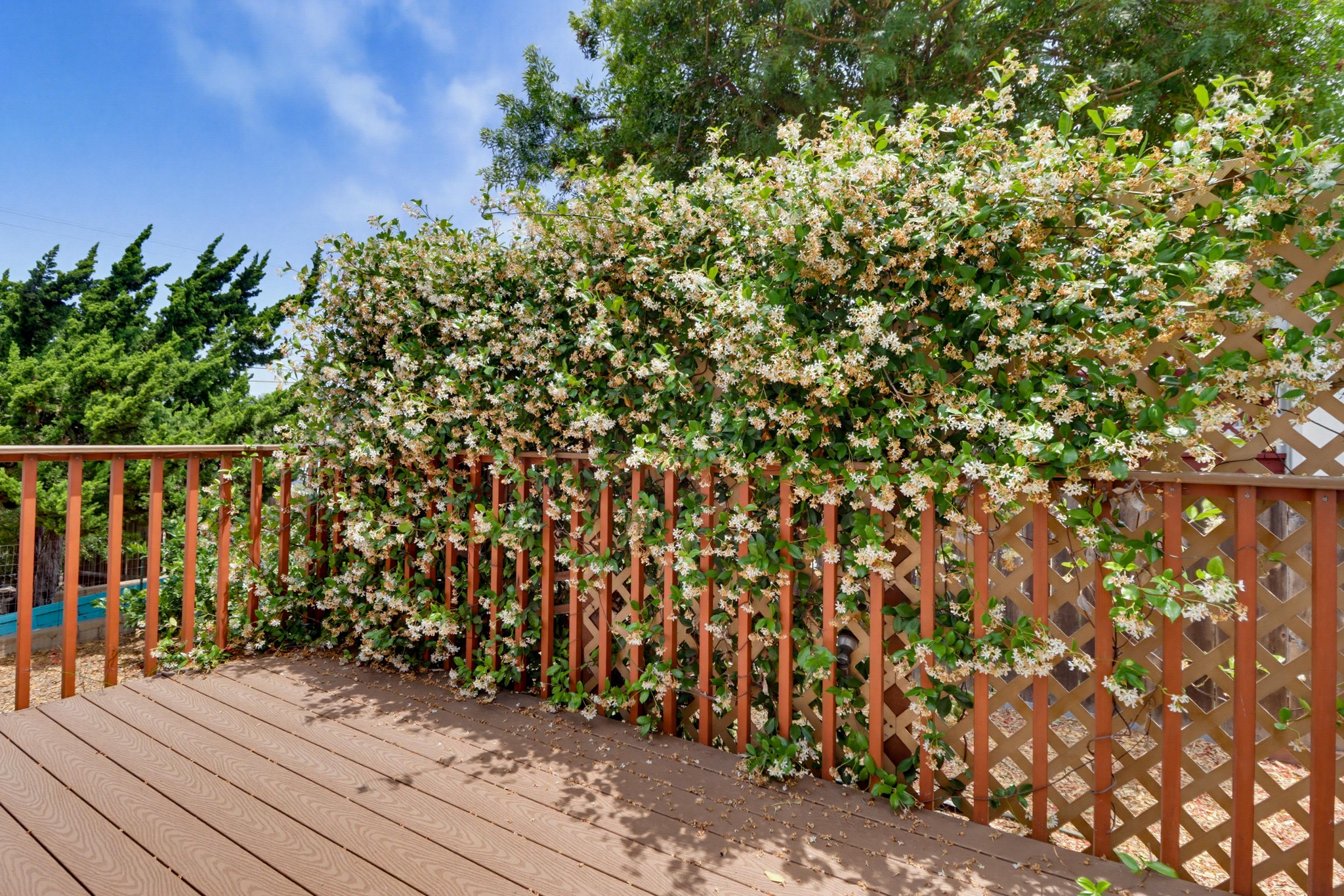 Virtual tour photo 51 of 77 for 7134 Hybeth Dr