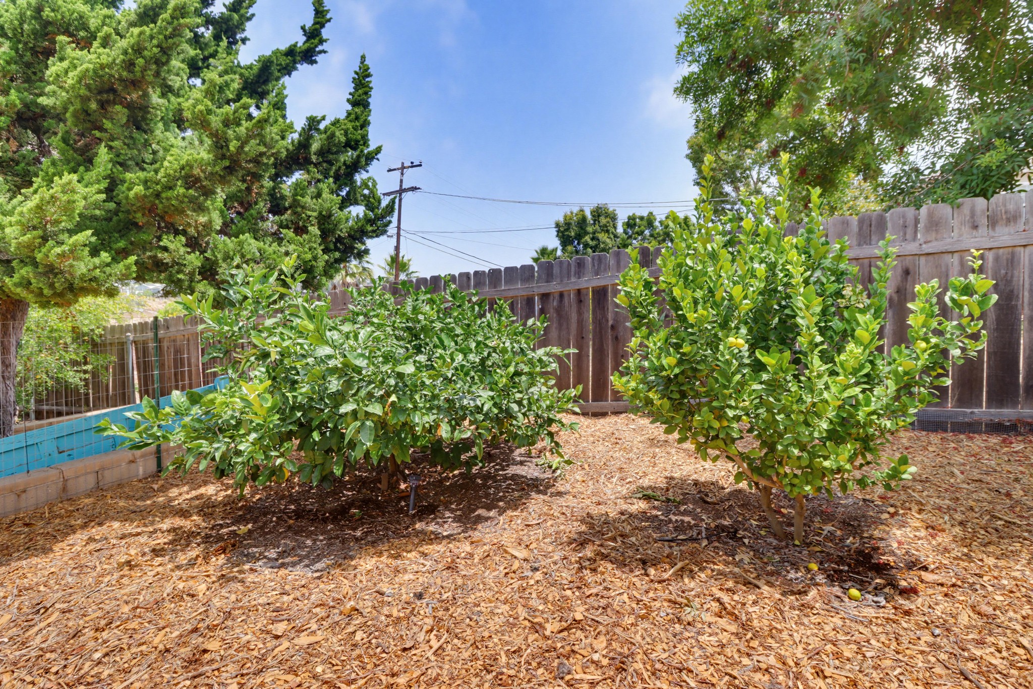 Virtual tour photo 56 of 77 for 7134 Hybeth Dr