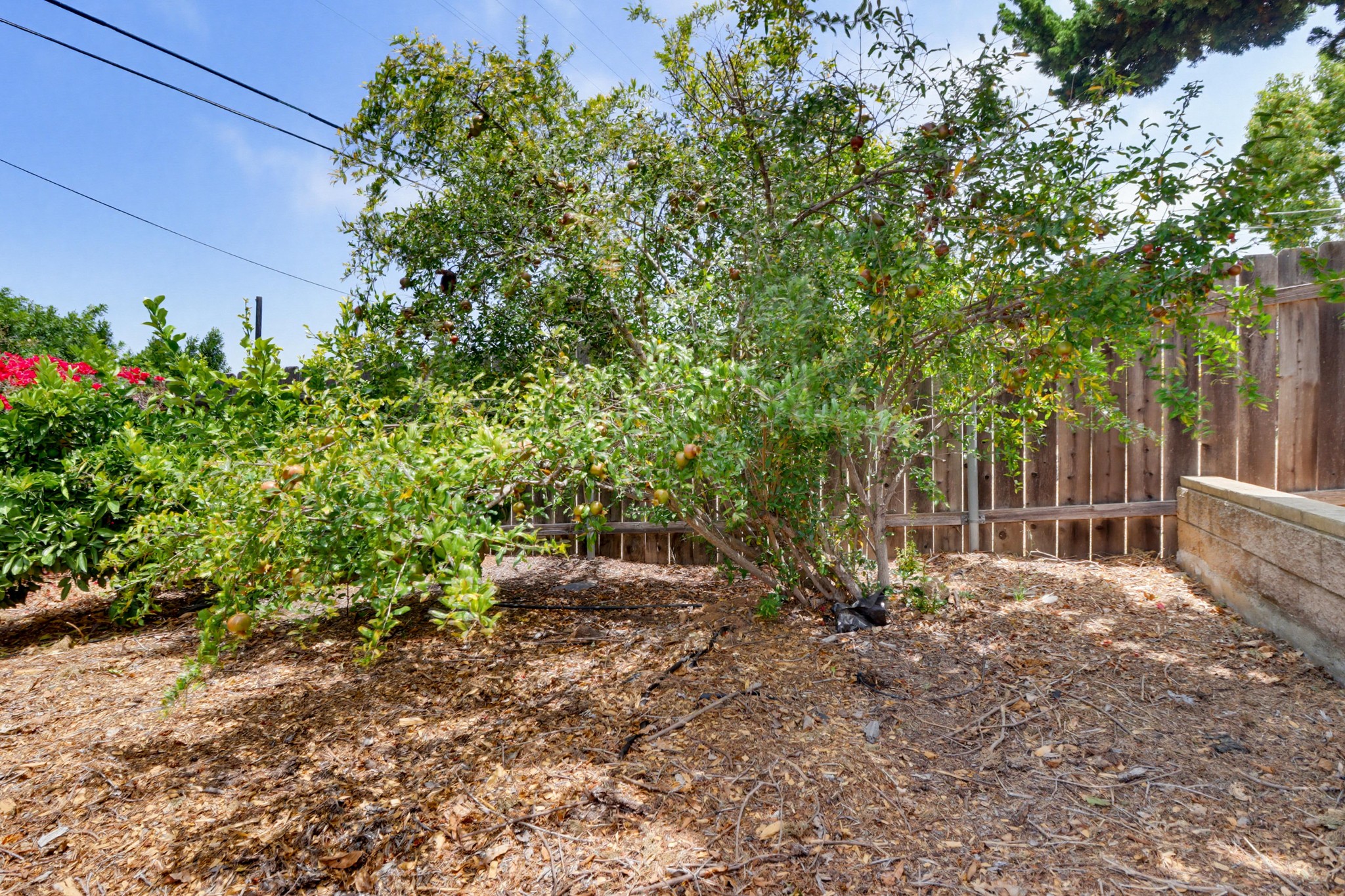 Virtual tour photo 72 of 77 for 7134 Hybeth Dr