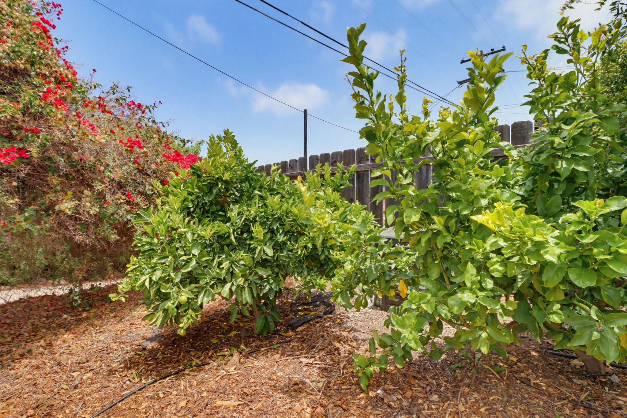 Virtual tour photo 73 of 77 for 7134 Hybeth Dr
