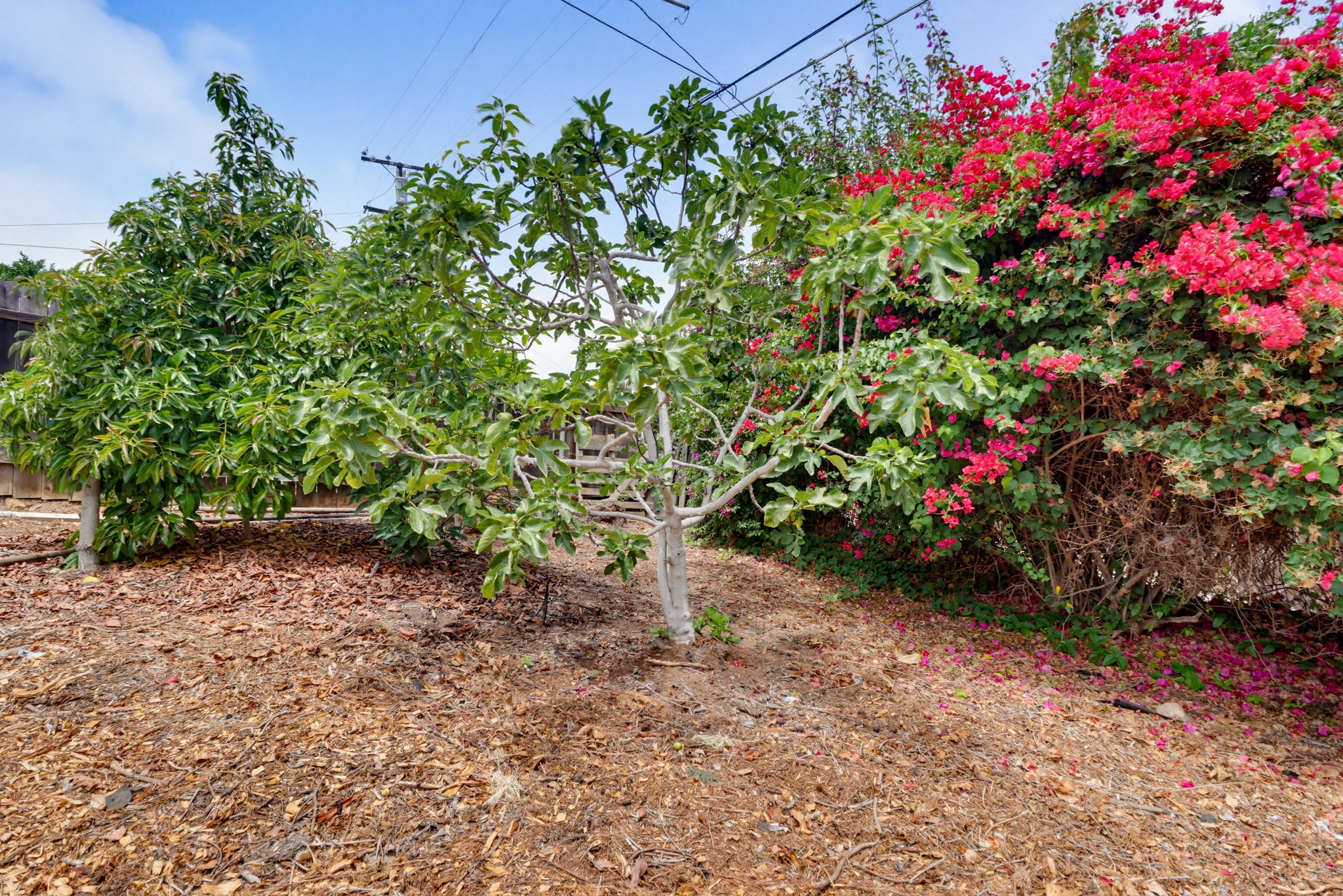 Virtual tour photo 75 of 77 for 7134 Hybeth Dr