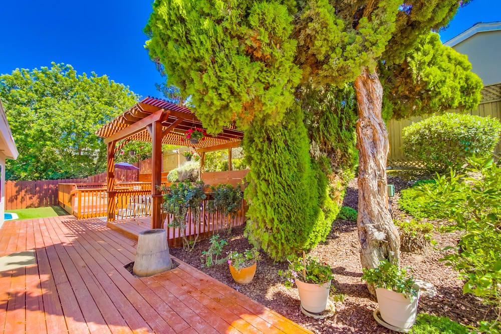 Virtual tour photo 49 of 64 for 7151 Princess View Drive