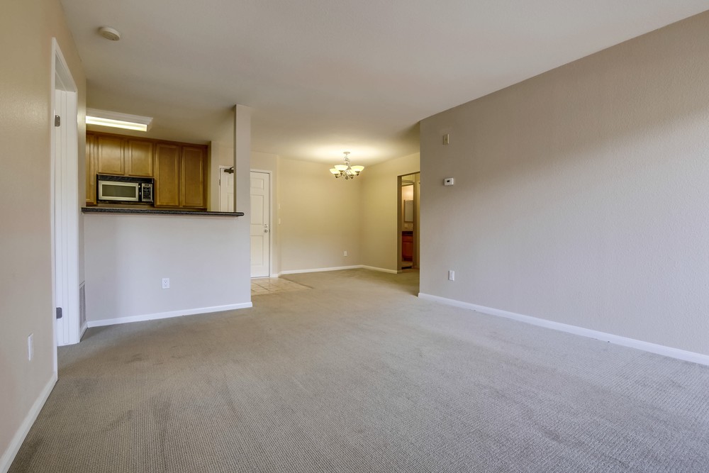 Virtual tour photo 15 of 38 for 7180 Shoreline Dr