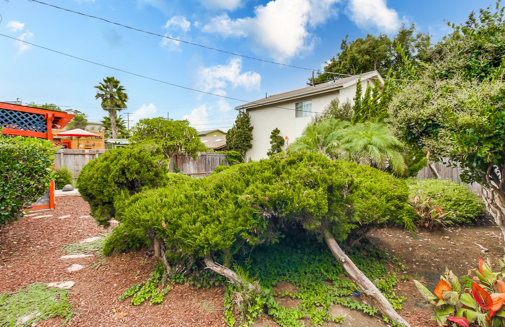 Virtual tour photo 59 of 65 for 724 Sutter St