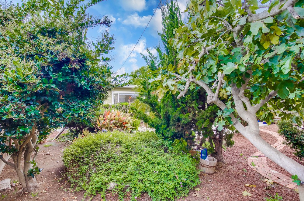 Virtual tour photo 61 of 65 for 724 Sutter St