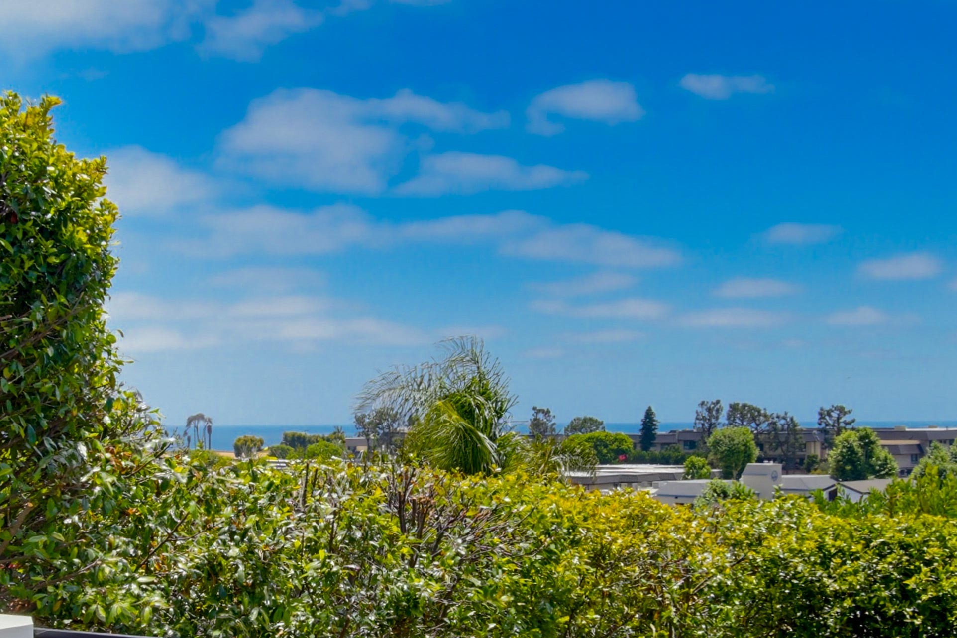 Virtual tour photo 43 of 99 for 731 Marsolan Ave