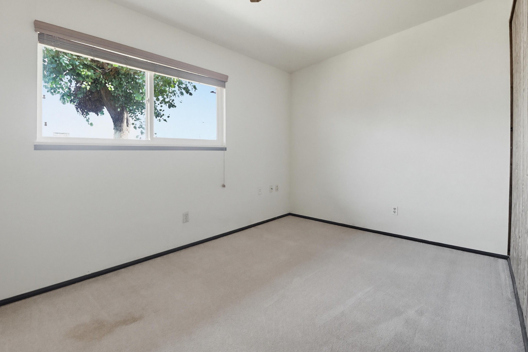 Virtual tour photo 24 of 41 for 737 Hemlock Ave
