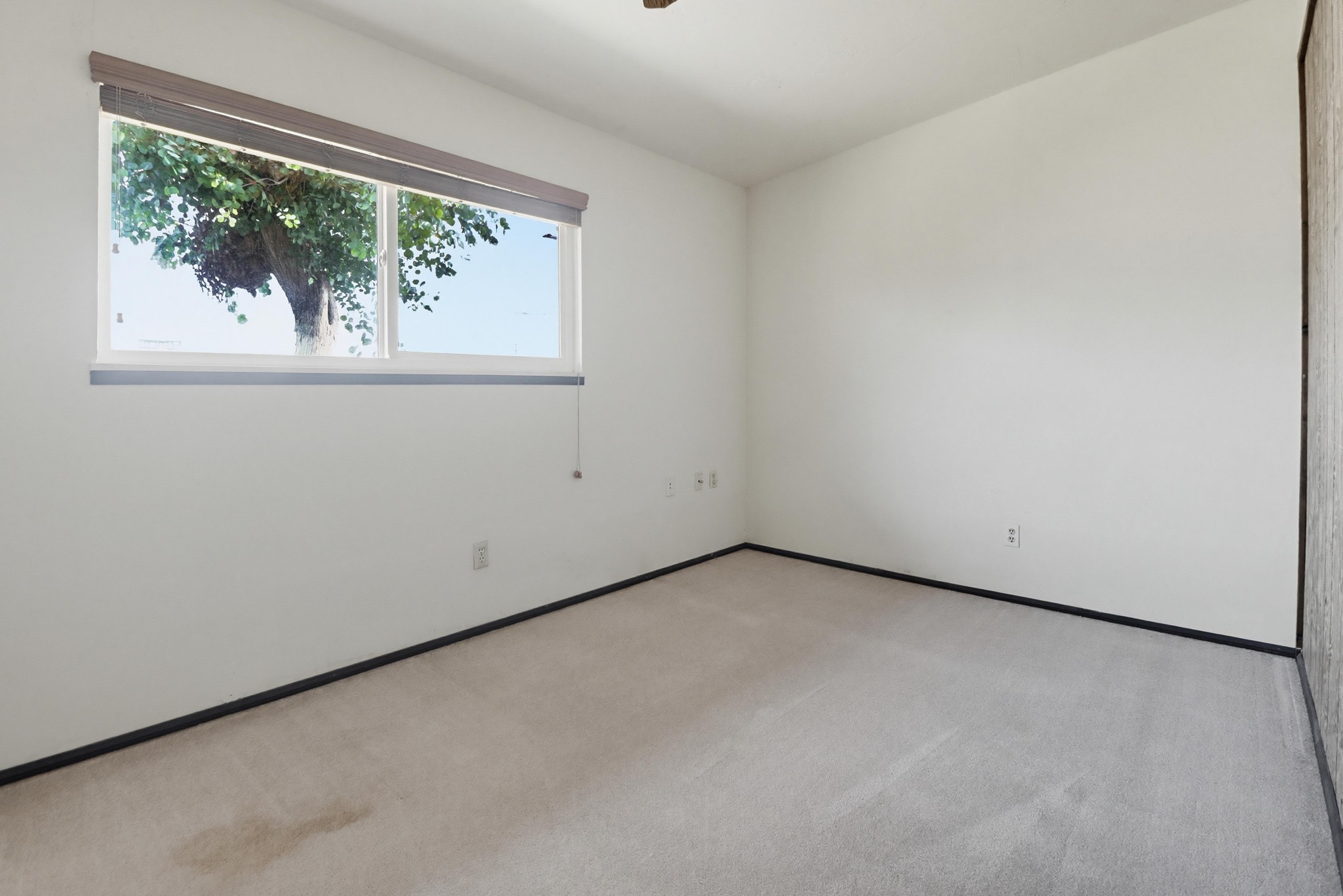 Virtual tour photo 25 of 41 for 737 Hemlock Ave