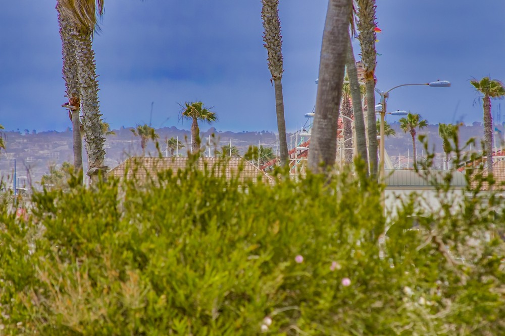 Virtual tour photo 47 of 60 for 741 San Fernando Pl