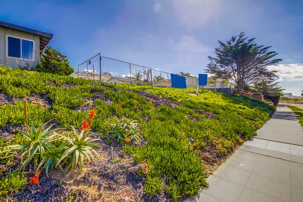 Virtual tour photo 5 of 22 for 741 Sunset Cliffs Blvd