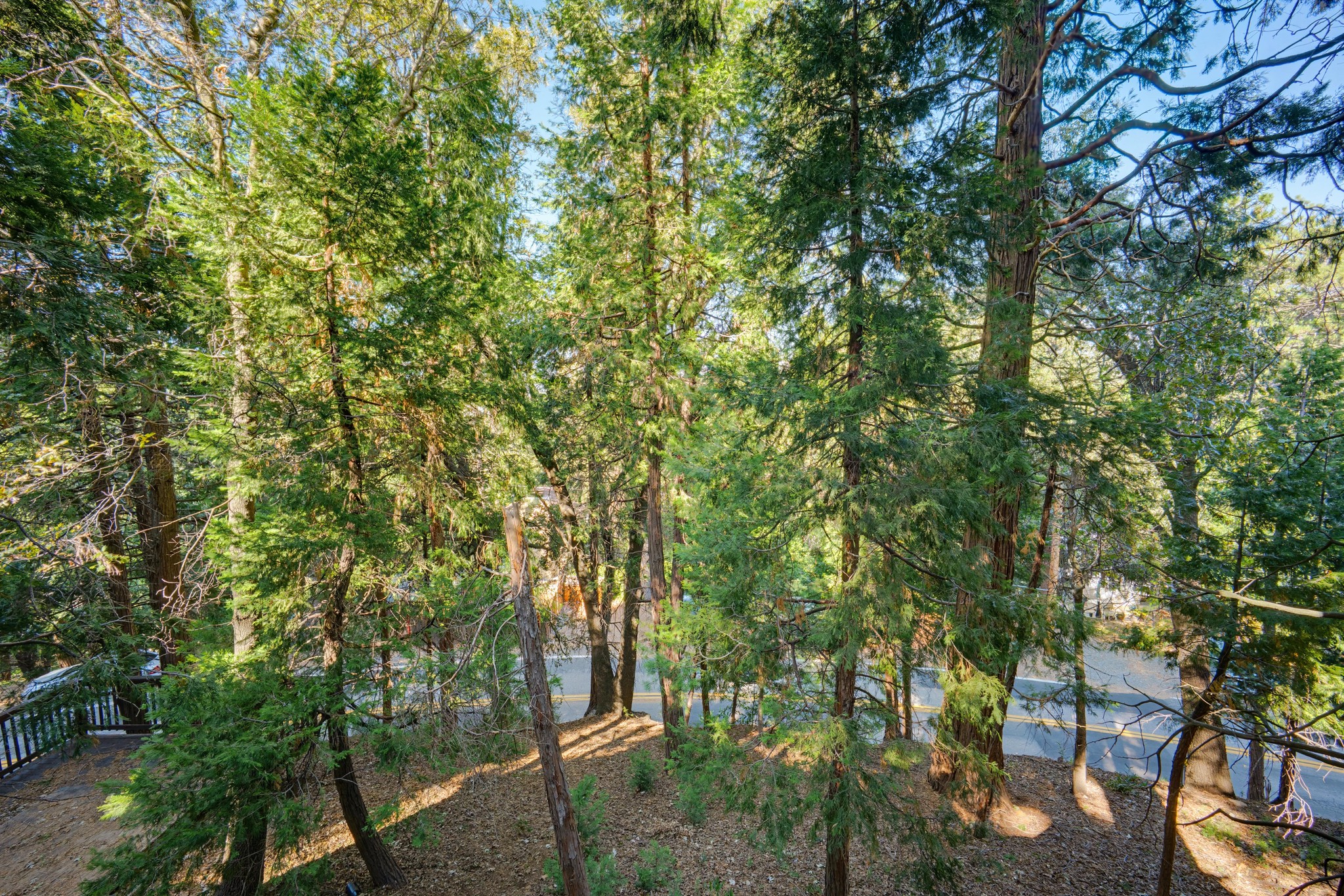Virtual tour photo 27 of 37 for 745 N Village Ln