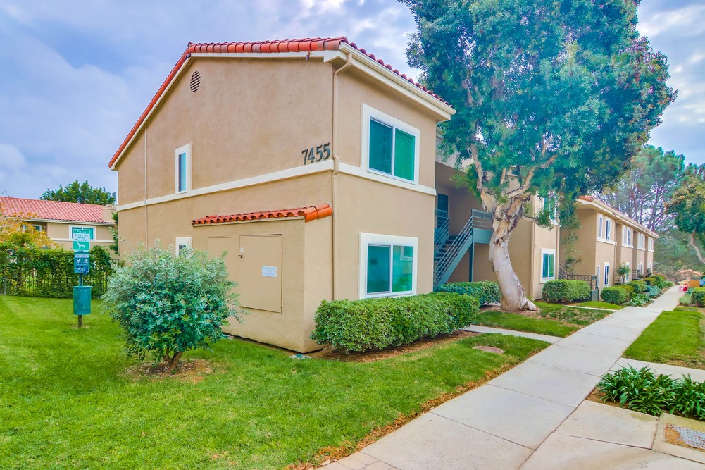 Virtual tour photo 1 of 33 for 7455 Charmant Dr UNIT 1811