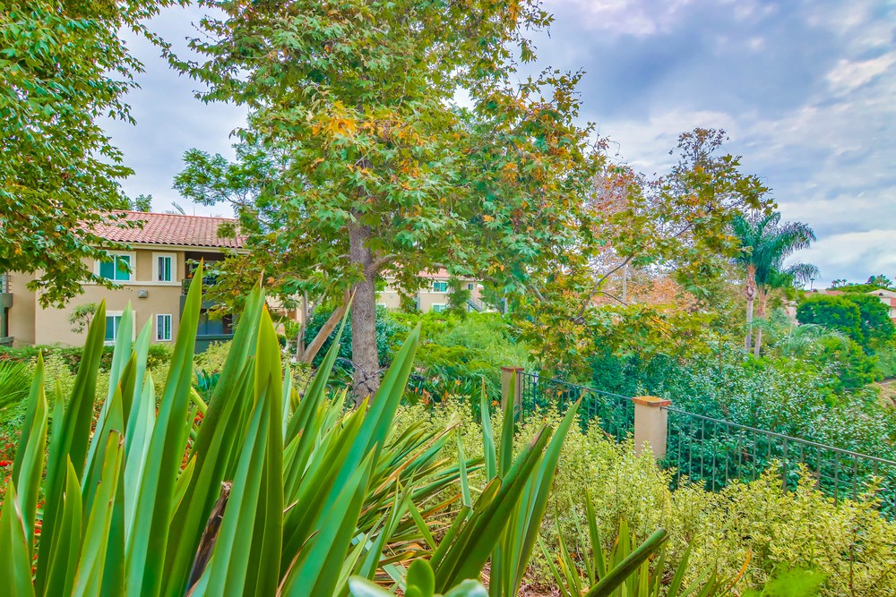 Virtual tour photo 23 of 33 for 7455 Charmant Dr UNIT 1811