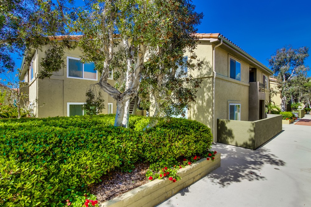 Virtual tour photo 3 of 35 for 7565 Charmant Drive #309