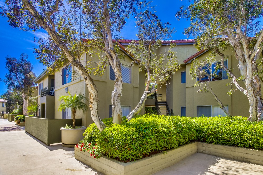 Virtual tour photo 28 of 35 for 7565 Charmant Drive #309