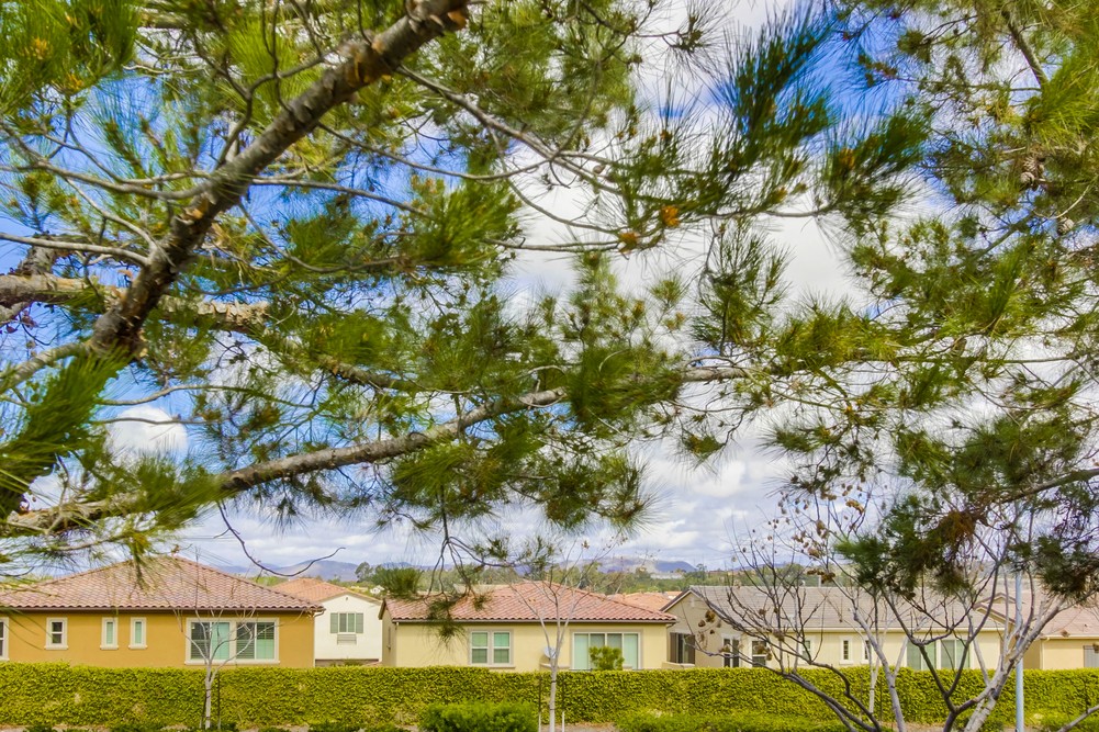 Virtual tour photo 42 of 45 for 7660 Via Cristal #2