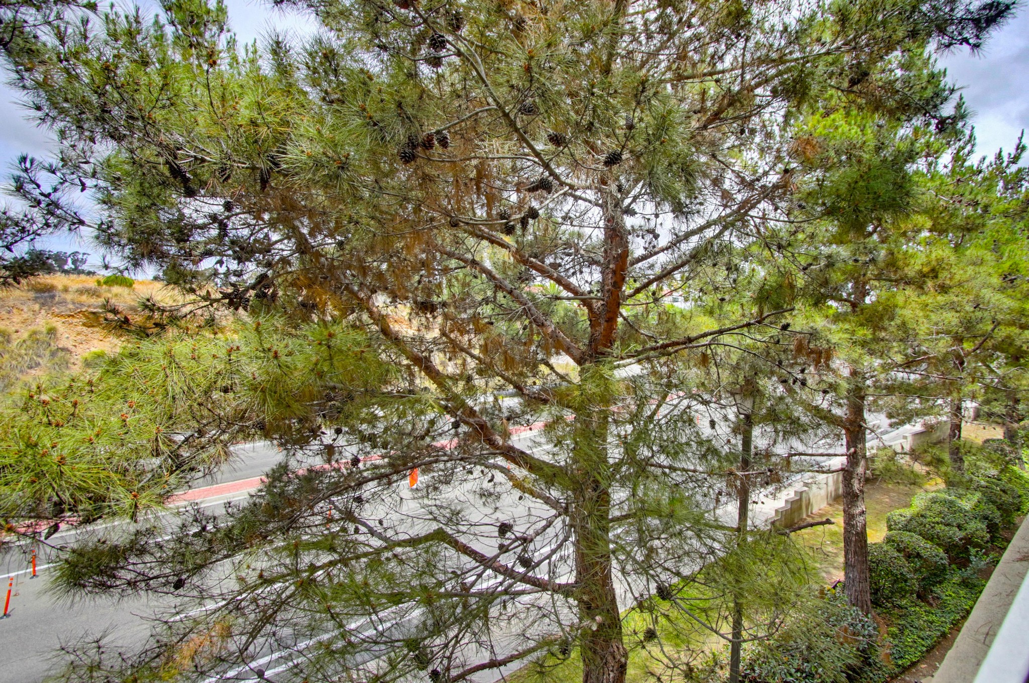 Virtual tour photo 21 of 36 for 7683 Mission Gorge Rd UNIT 165