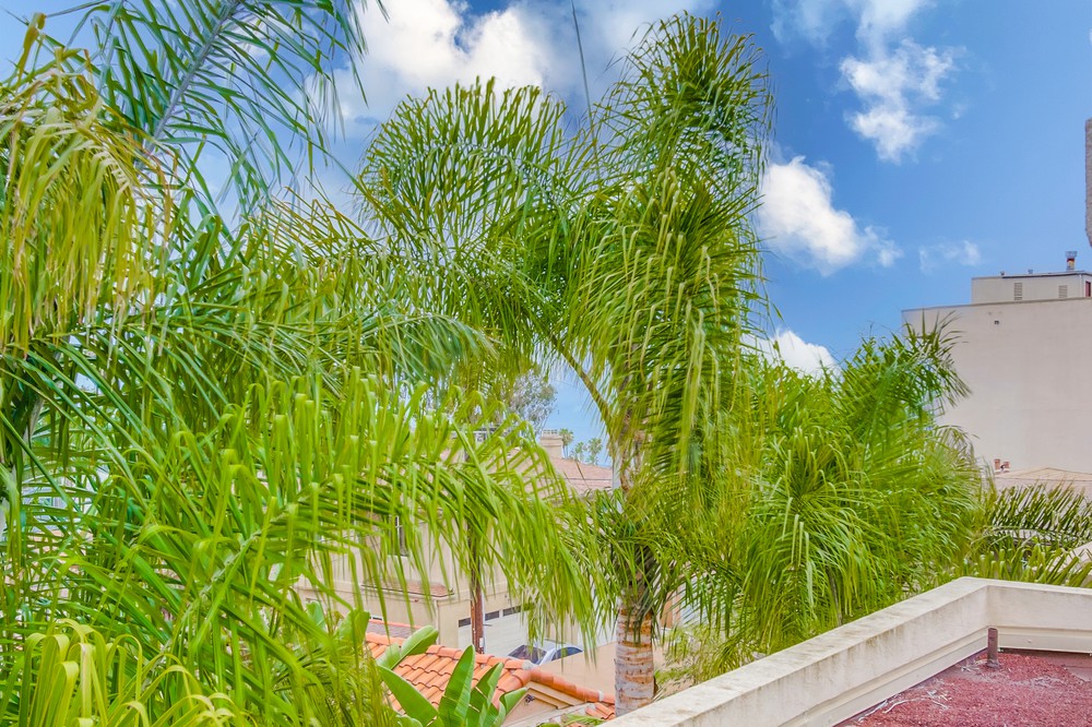 Virtual tour photo 55 of 64 for 773 Sapphire St