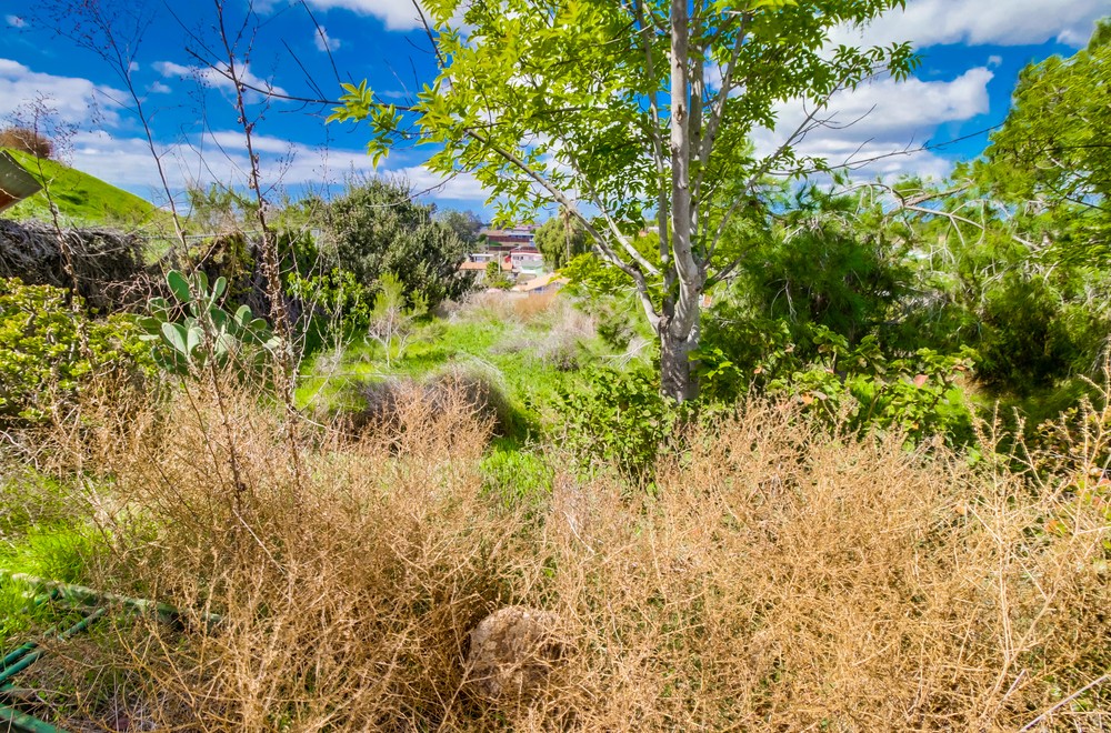 Virtual tour photo 68 of 68 for 774 Winston Dr