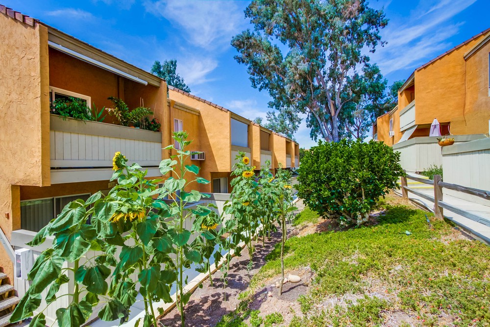 Virtual tour photo 4 of 37 for 7787 Margerum Ave UNIT 236