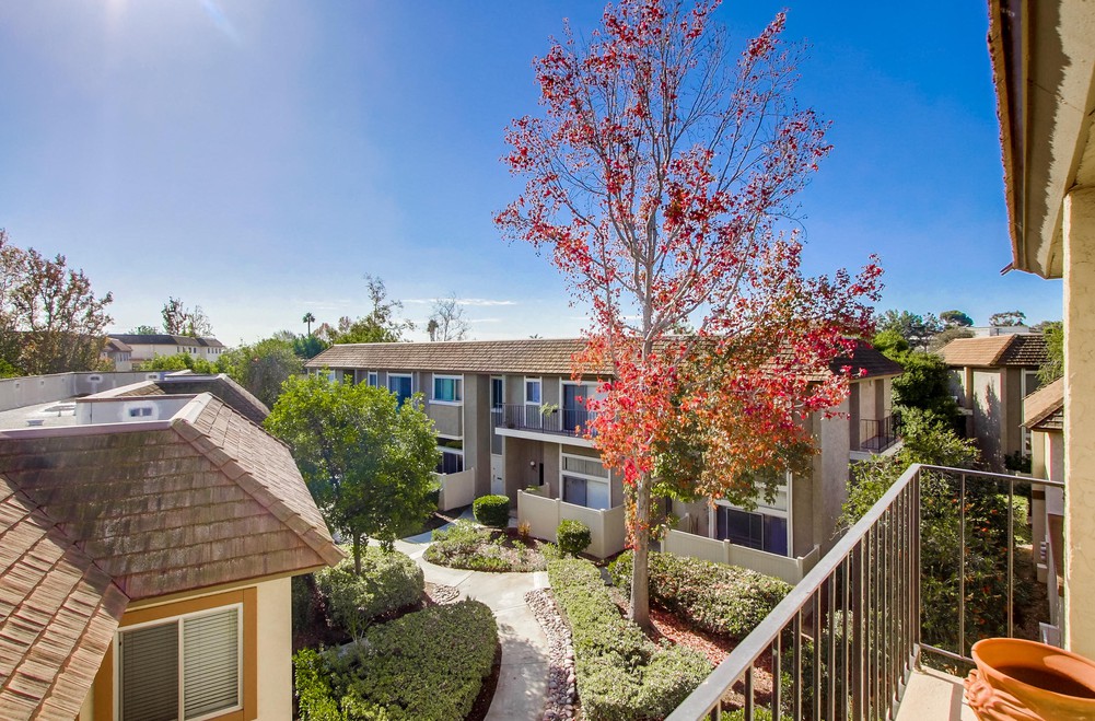 Virtual tour photo 59 of 69 for 7821 Starling Dr