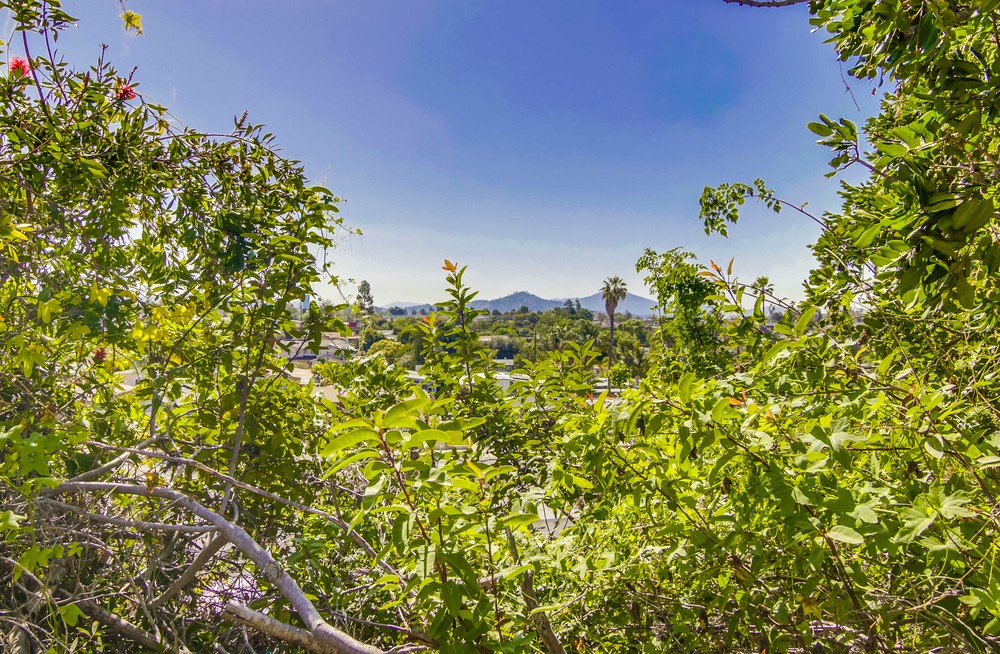 Virtual tour photo 40 of 39 for 7825 Whelan Dr