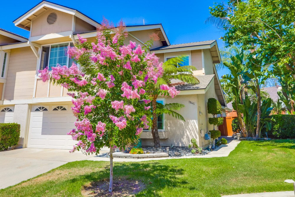 Virtual tour photo 1 of 45 for 7845 Mission Montana Pl