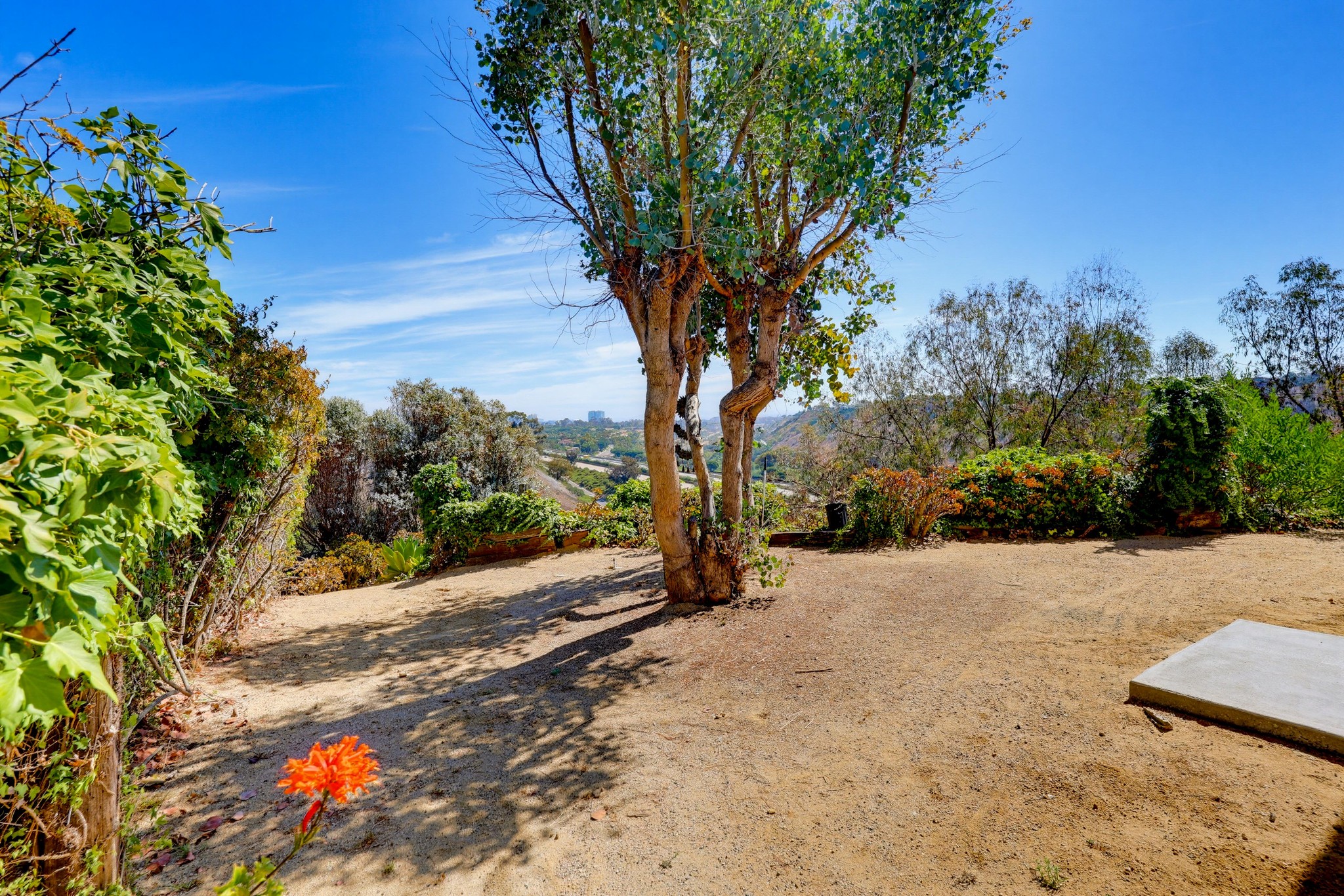 Virtual tour photo 60 of 76 for 7875 Bellakaren Pl