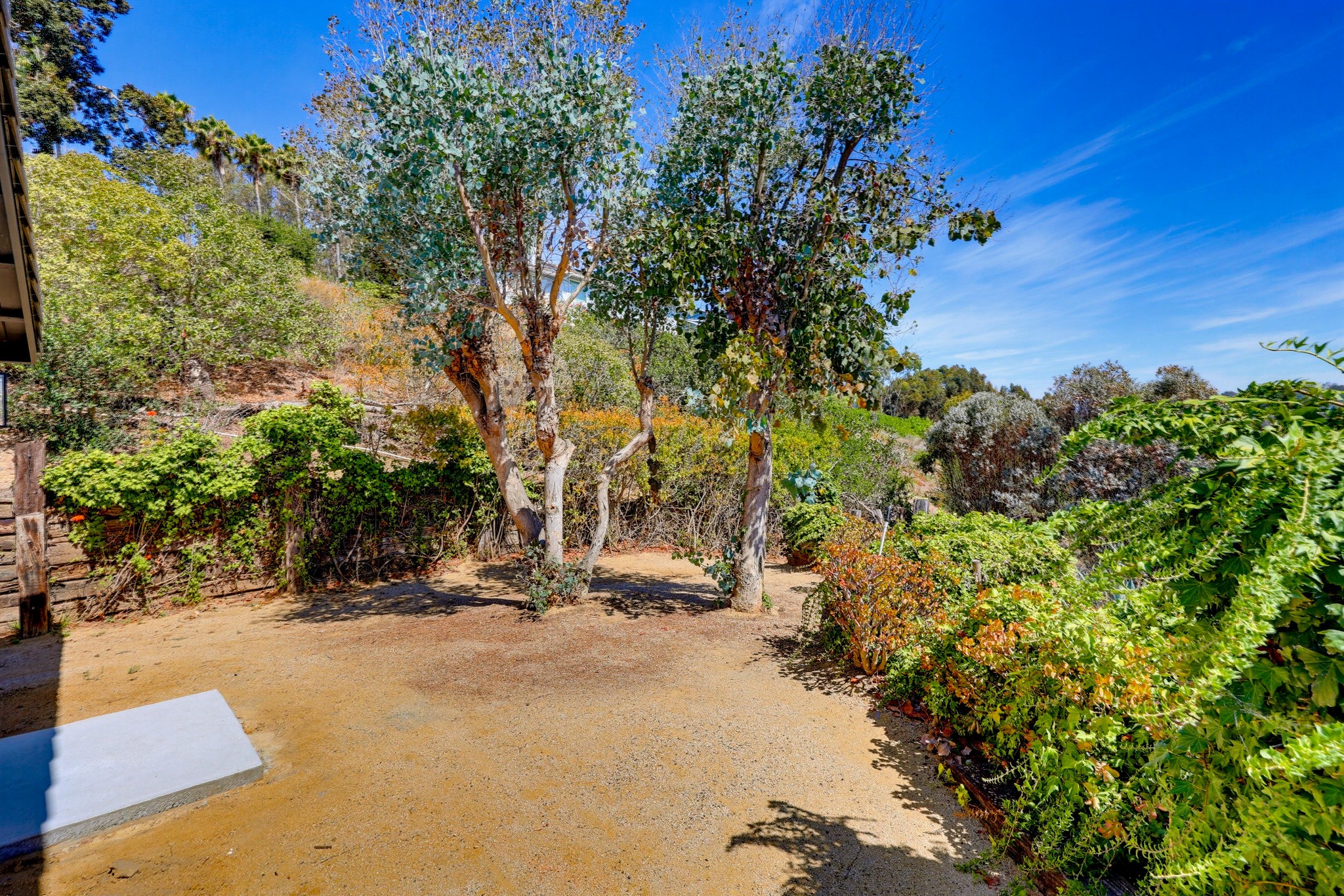 Virtual tour photo 62 of 76 for 7875 Bellakaren Pl