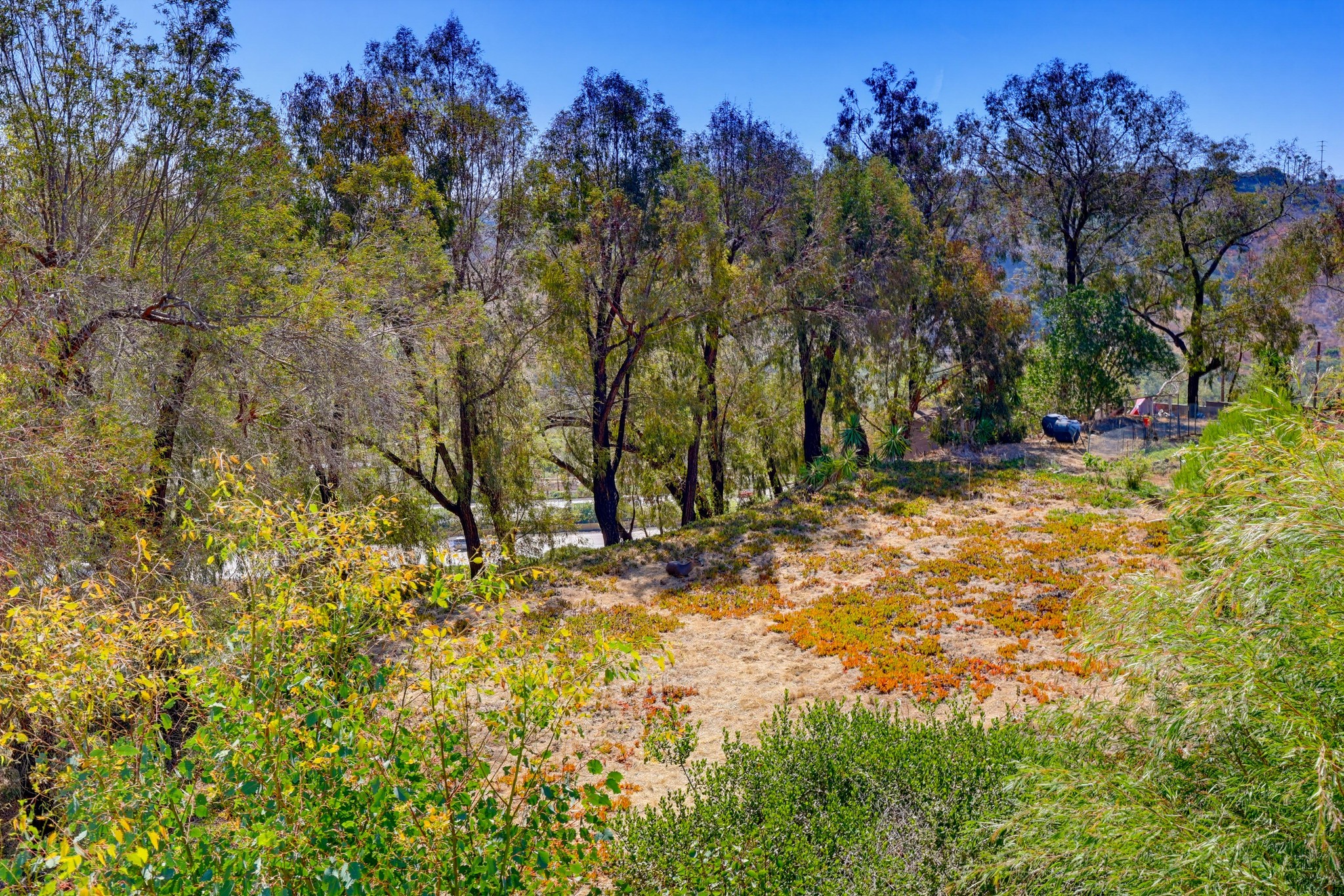 Virtual tour photo 63 of 76 for 7875 Bellakaren Pl