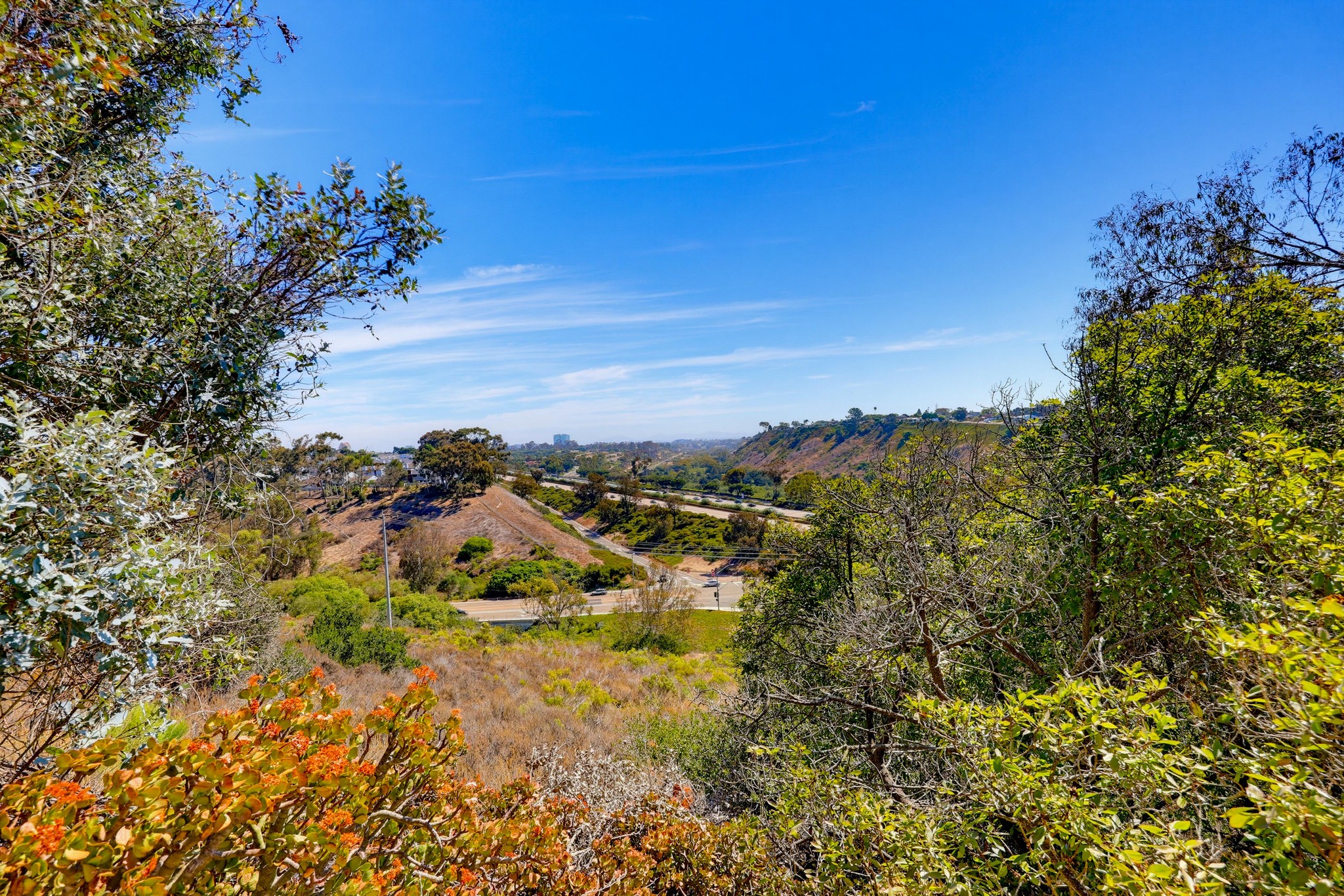 Virtual tour photo 65 of 76 for 7875 Bellakaren Pl