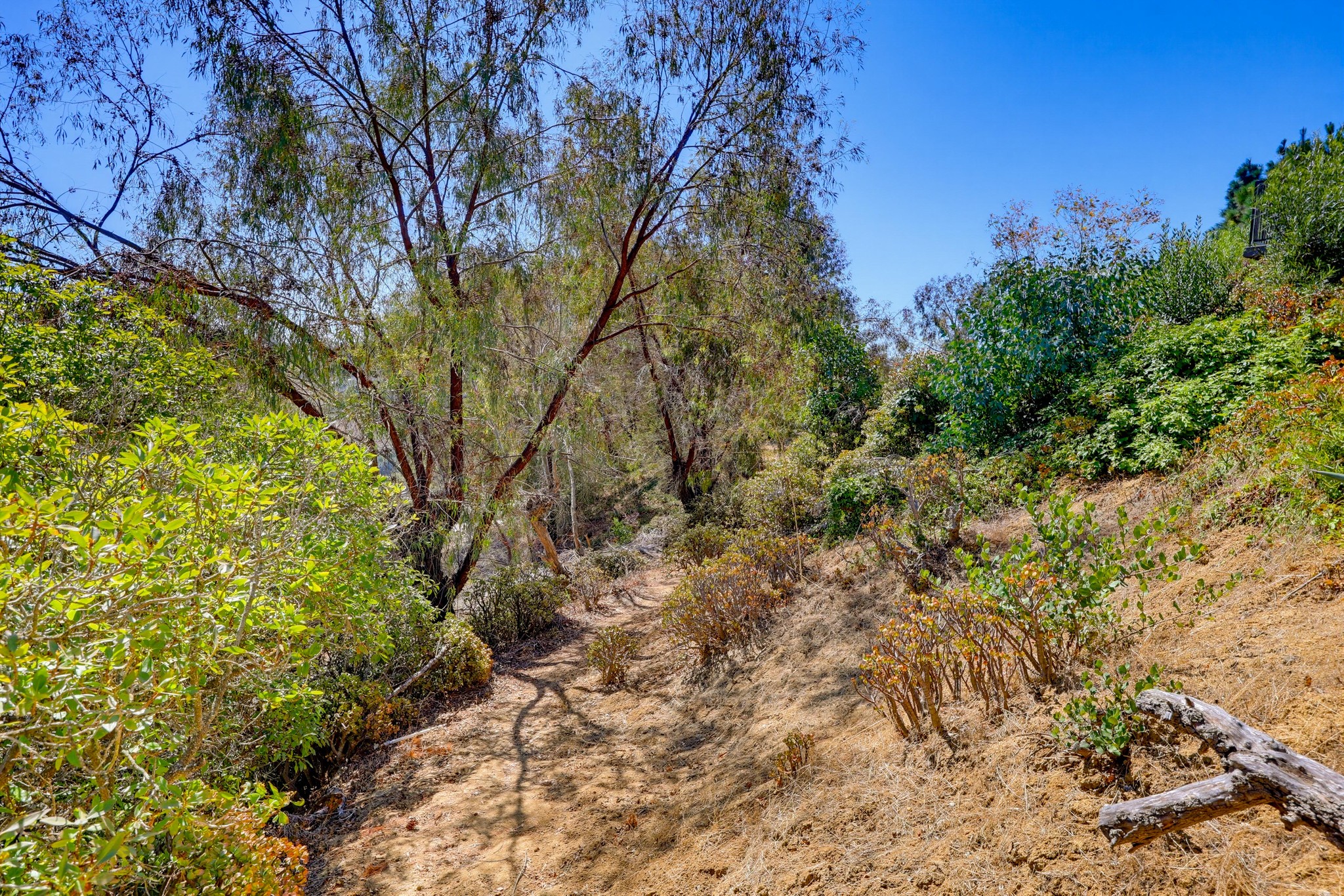 Virtual tour photo 66 of 76 for 7875 Bellakaren Pl