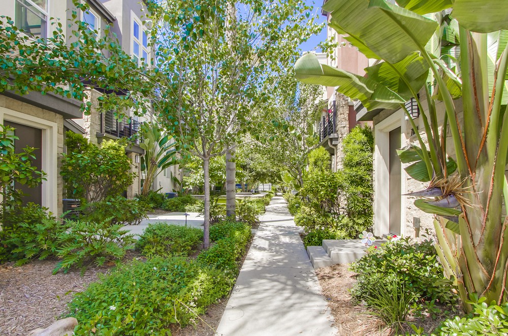 Virtual tour photo 5 of 84 for 7879 Modern Oasis Dr