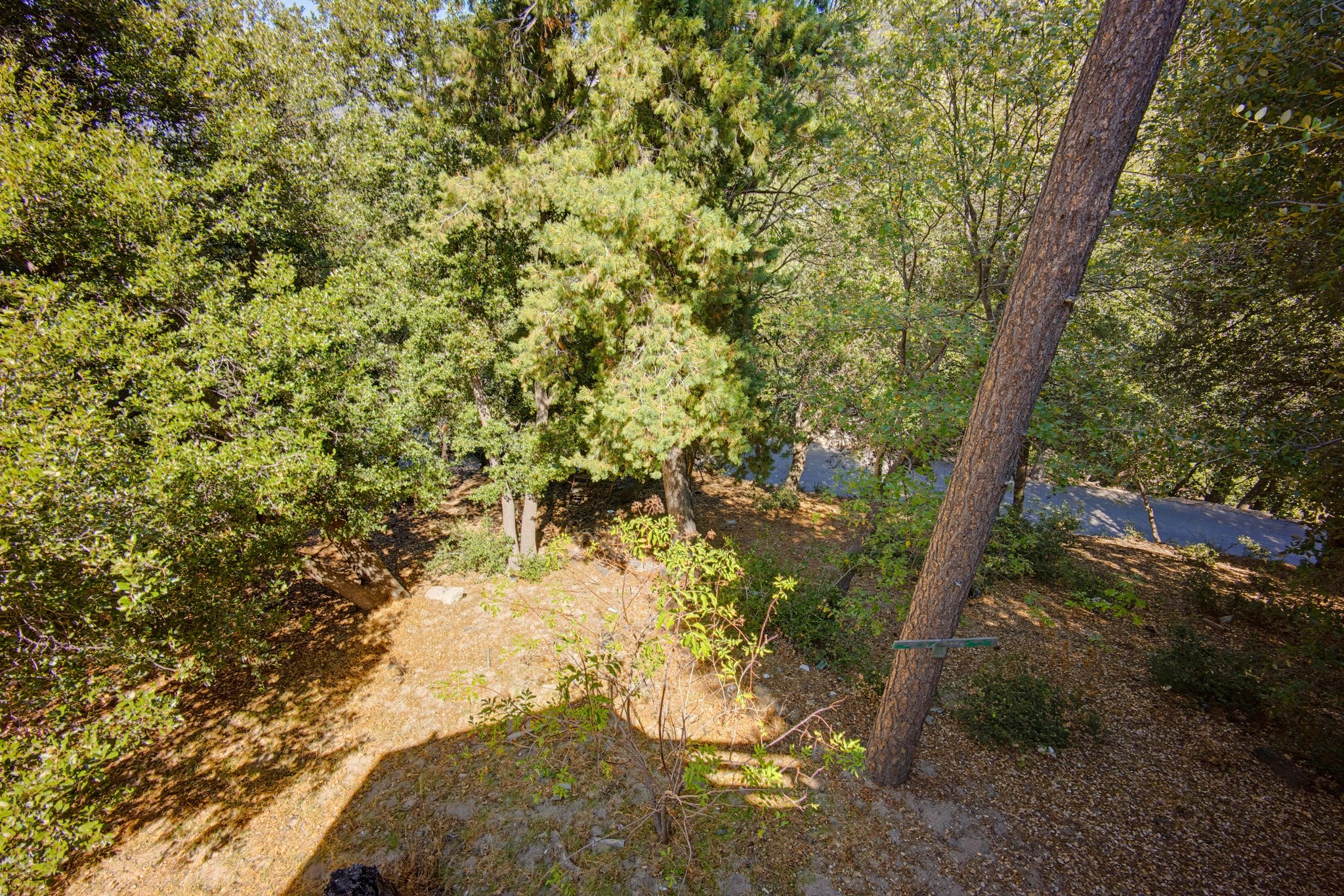 Virtual tour photo 25 of 44 for 789 Arosa Dr