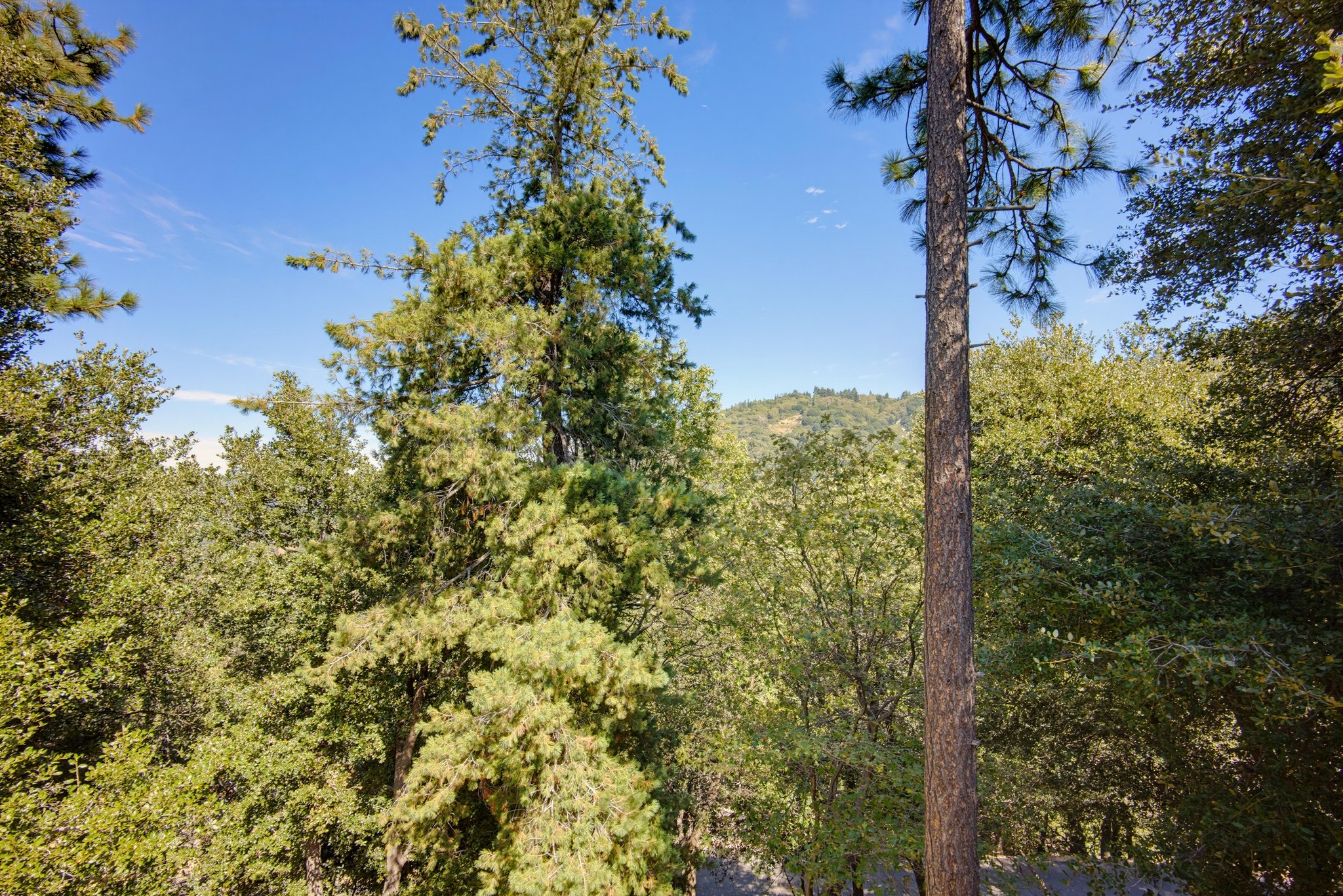 Virtual tour photo 27 of 44 for 789 Arosa Dr