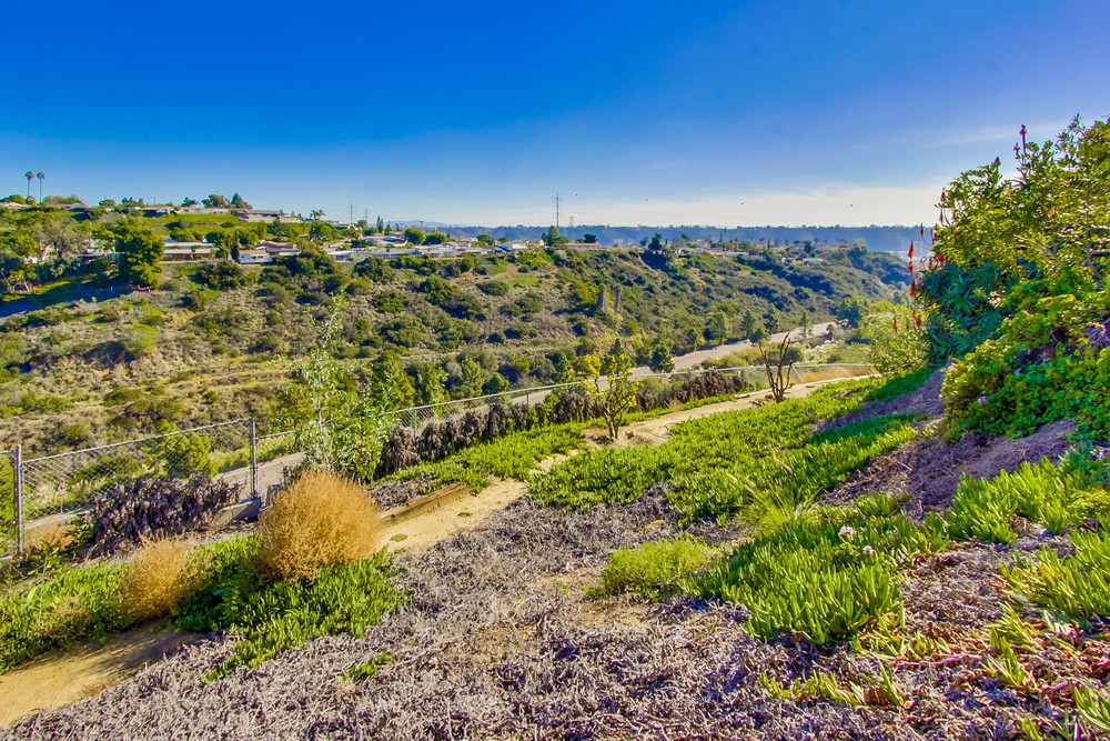 Virtual tour photo 49 of 48 for 7922 Blue Jay Pl