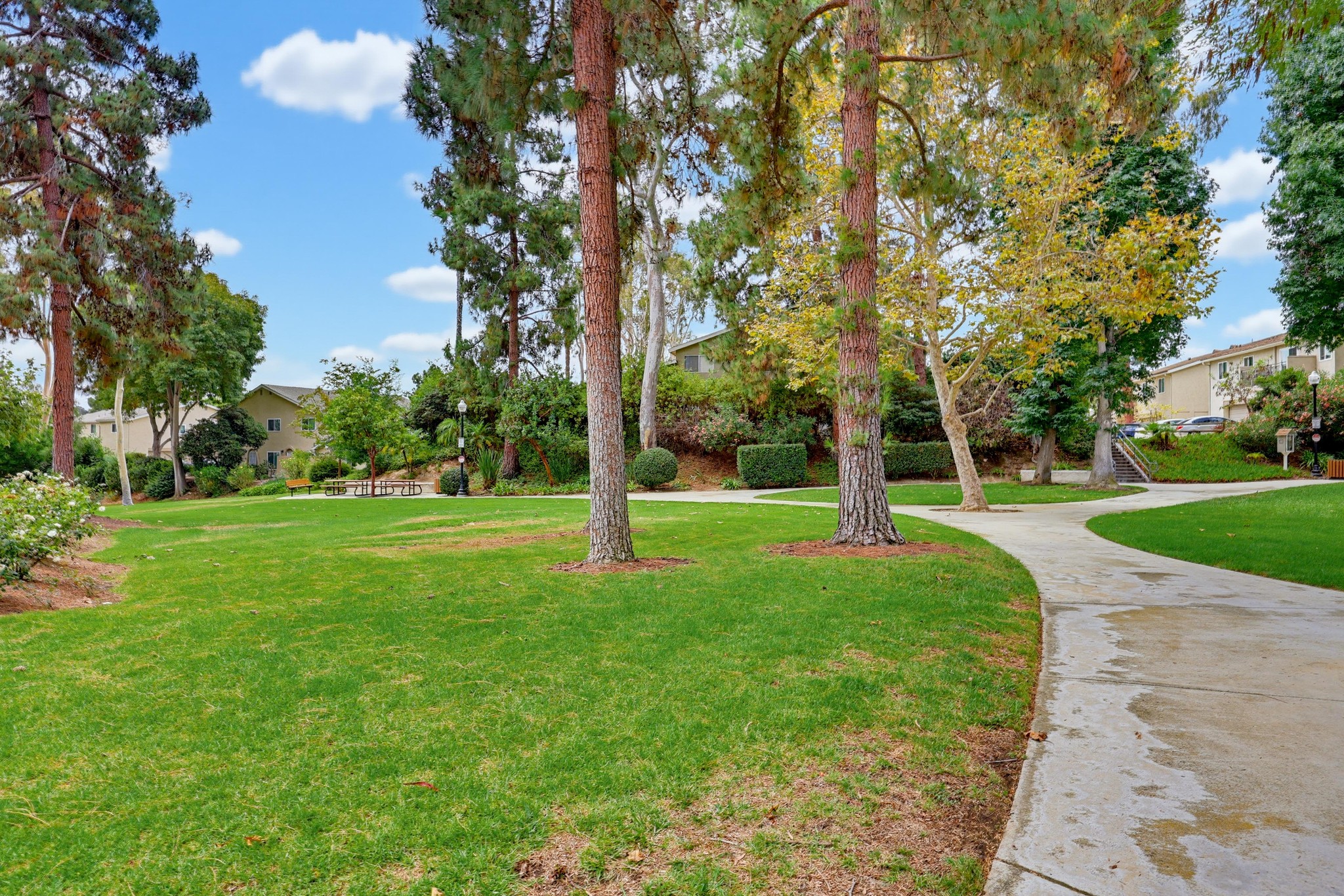 Virtual tour photo 41 of 43 for 7933 Camino Kiosco