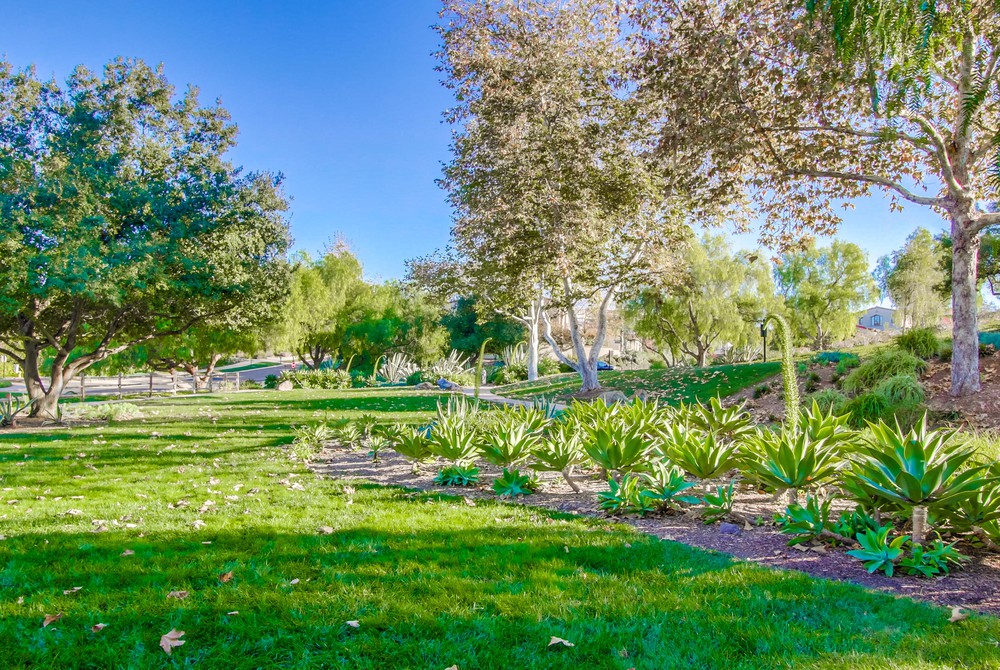 Virtual tour photo 75 of 76 for 7935 High Time Ridge