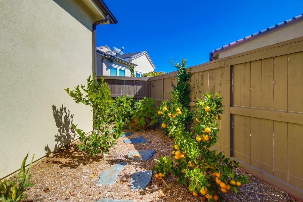 Virtual tour photo 57 of 59 for 7969 Lusardi Creek Ln